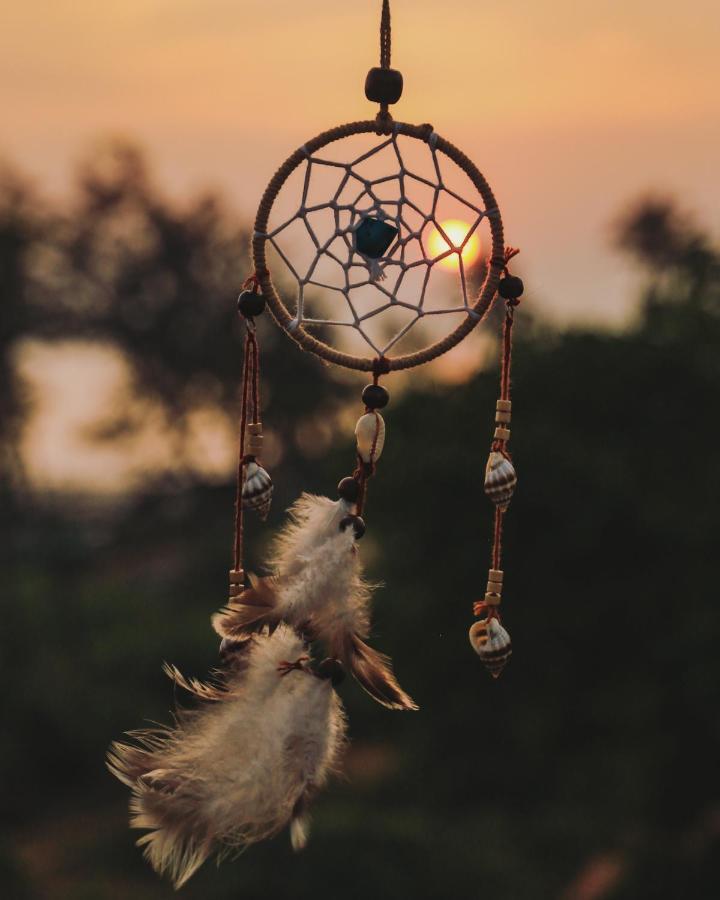Dreamcatcher House & Hostel At Arambol Beach Exteriör bild